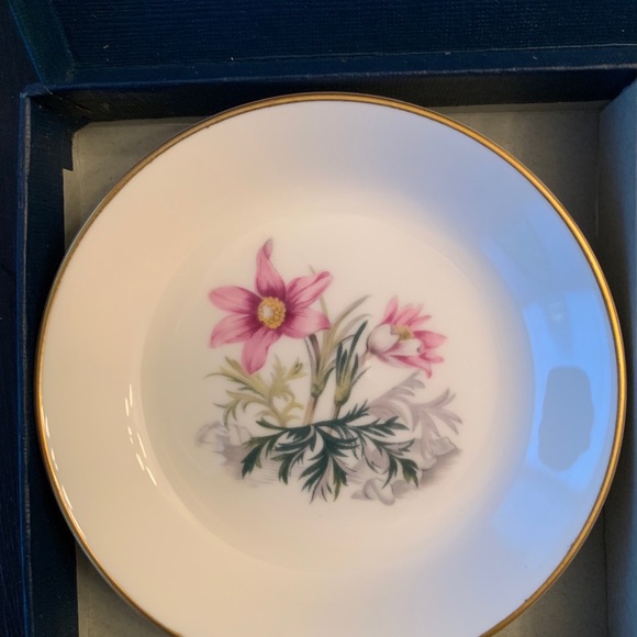 Royal Worcester Floral Bowls - bone China - Picture 5 of 5